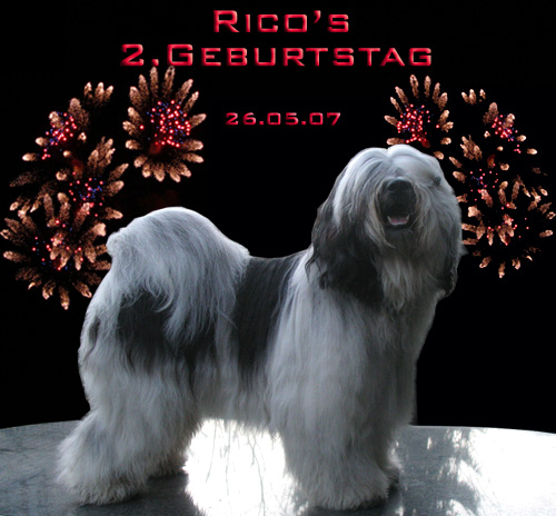Ricos 2. Geburtstag 26.05.07
