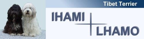 IHAMI LHAMO