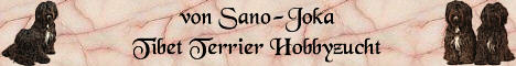 Tibet Terrier Sano-Joka