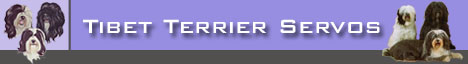 Tibet Terrier Servos